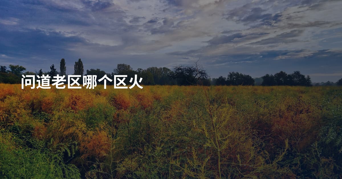 问道老区哪个区火
