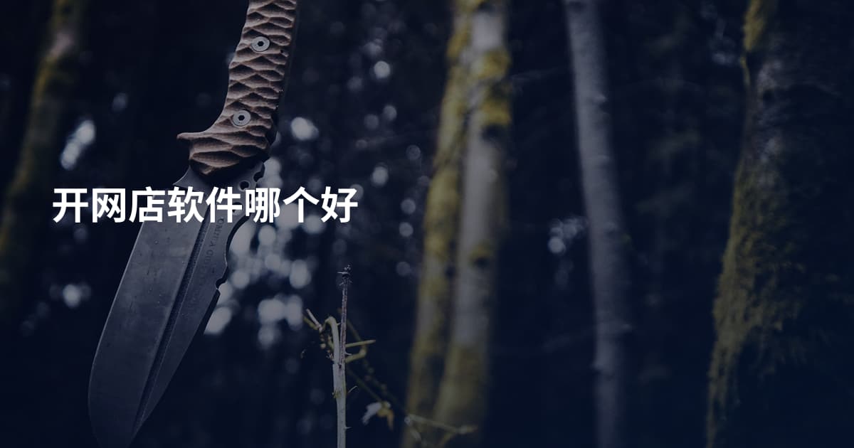 开网店软件哪个好