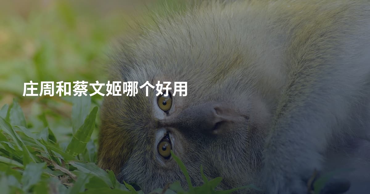 庄周和蔡文姬哪个好用
