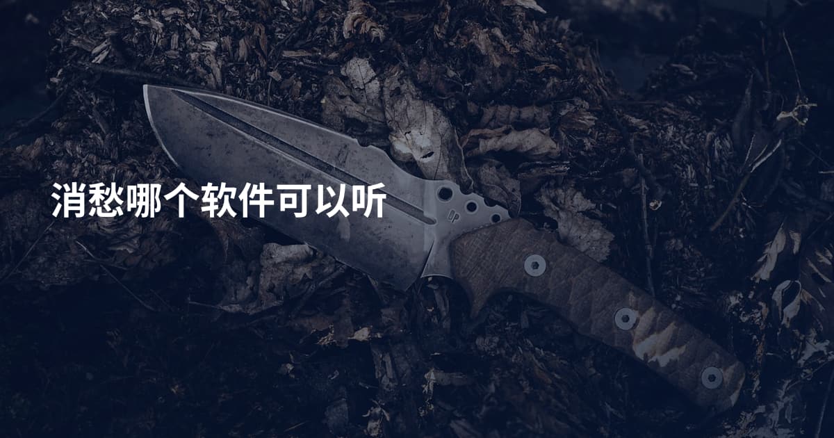 消愁哪个软件可以听