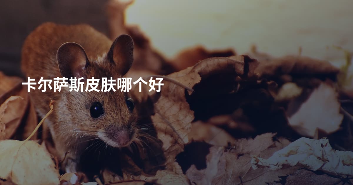 卡尔萨斯皮肤哪个好