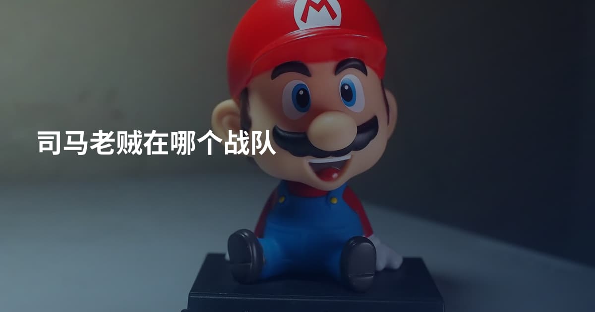 司马老贼在哪个战队