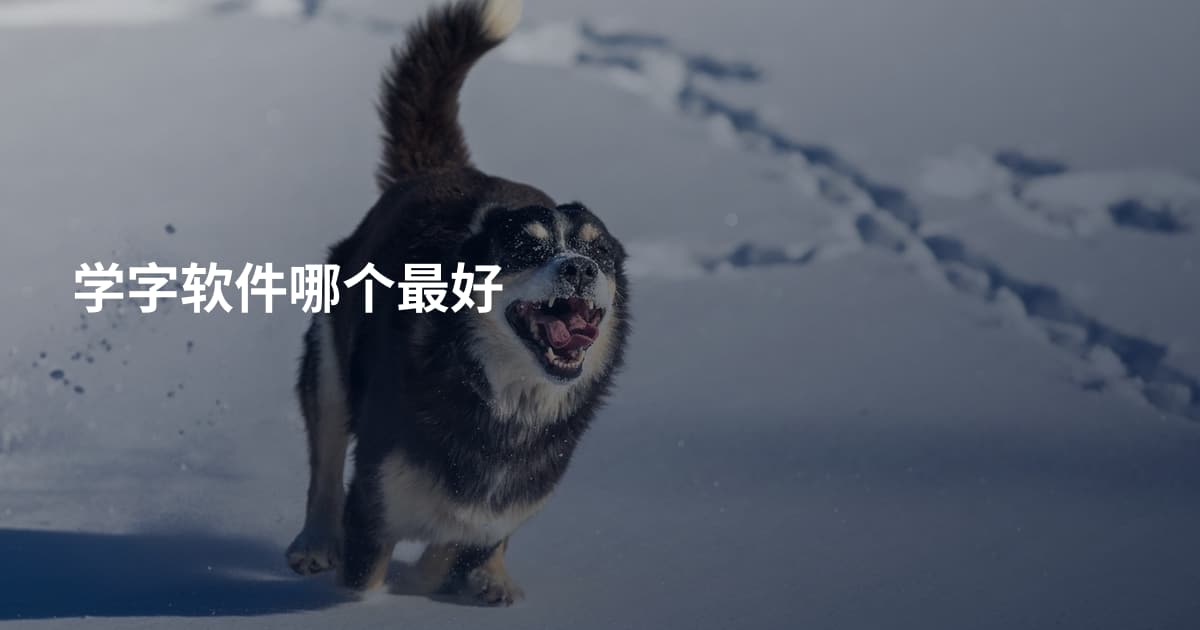 学字软件哪个最好