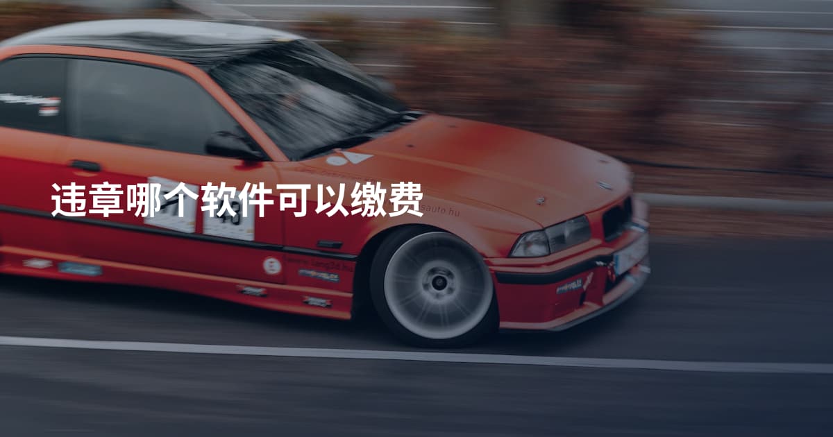 违章哪个软件可以缴费