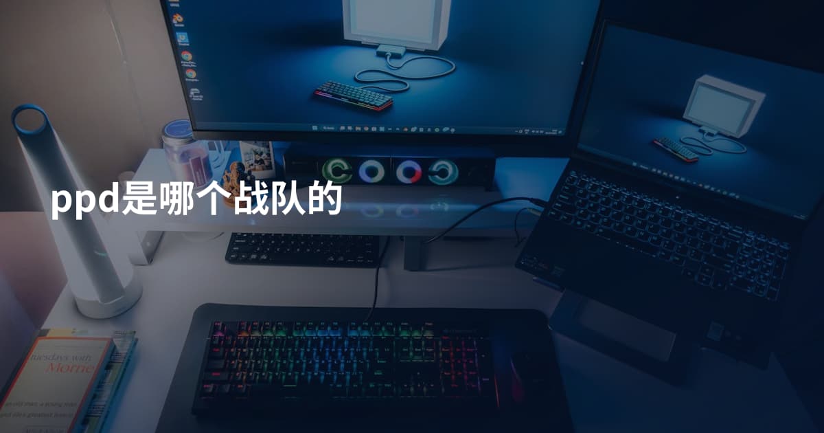 ppd是哪个战队的