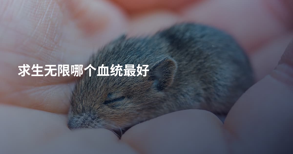 求生无限哪个血统最好