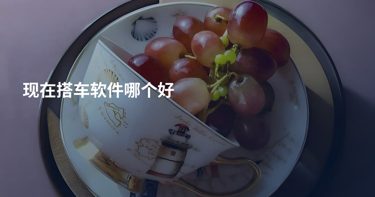 现在搭车软件哪个好