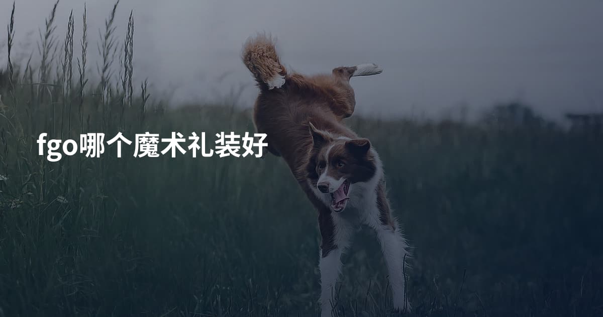 fgo哪个魔术礼装好