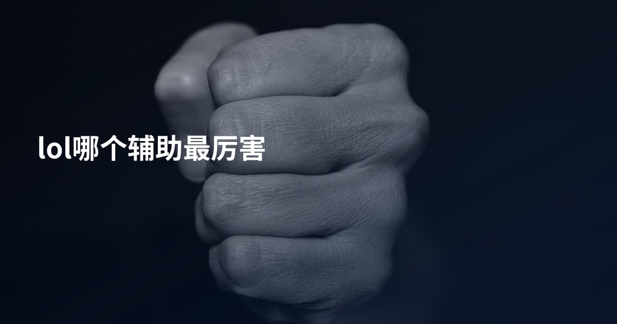 lol哪个辅助最厉害