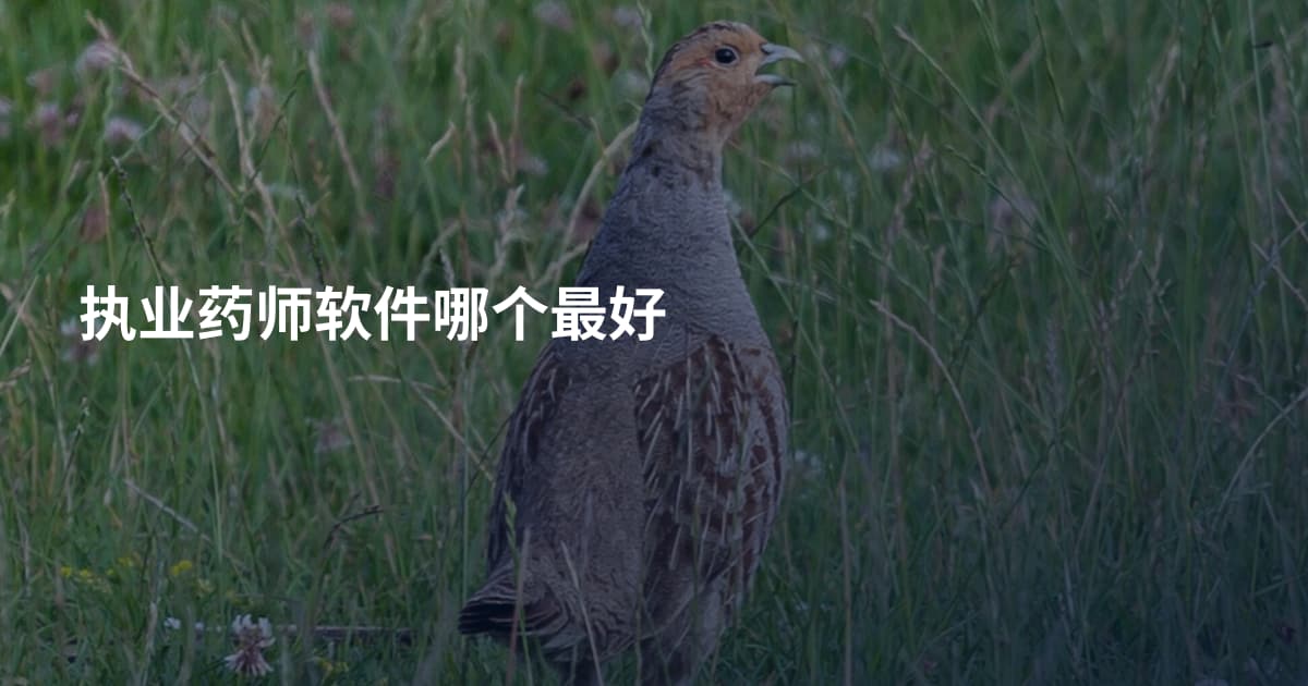 执业药师软件哪个最好