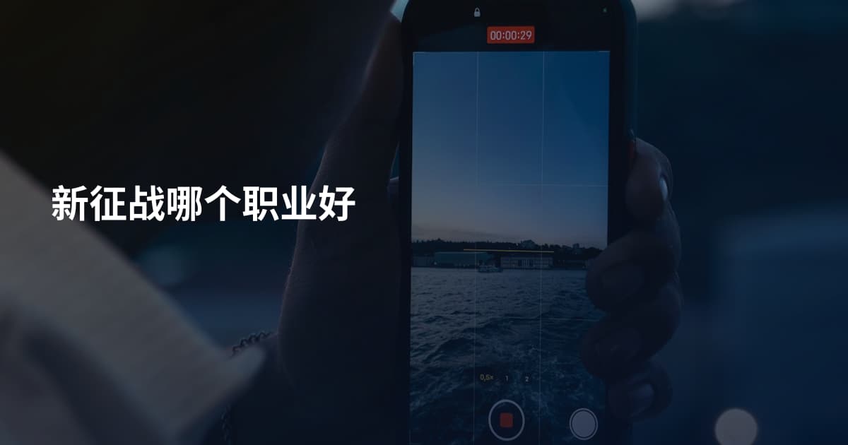 新征战哪个职业好