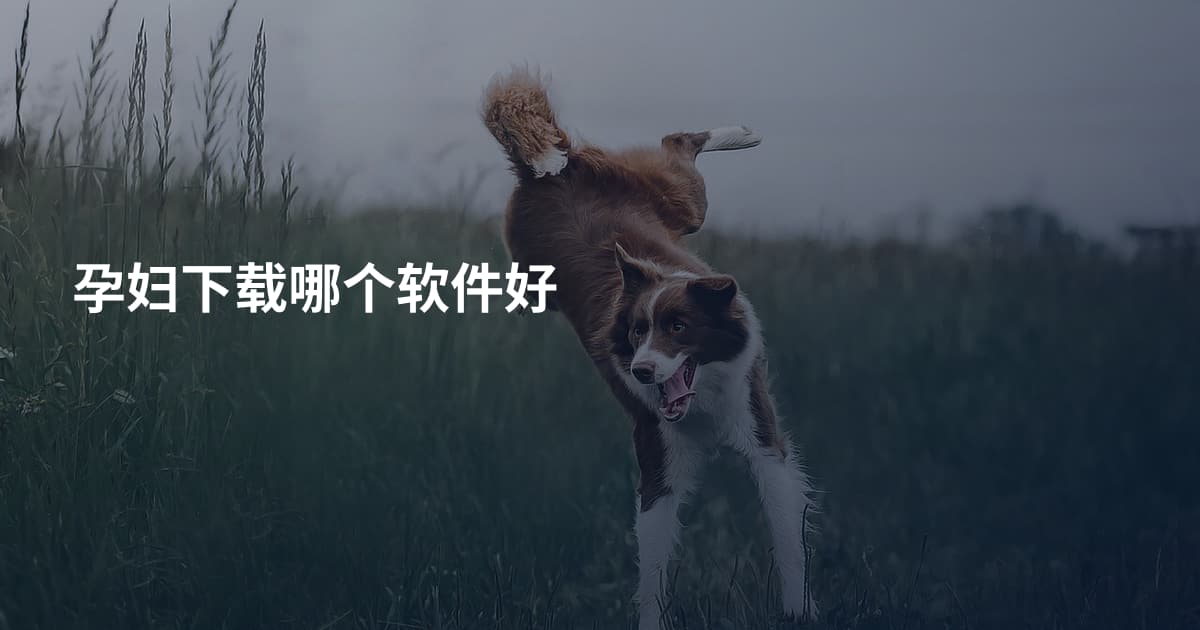 孕妇下载哪个软件好