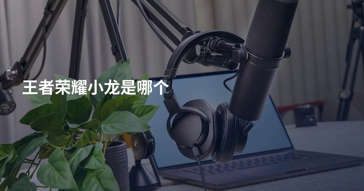 王者荣耀小龙是哪个