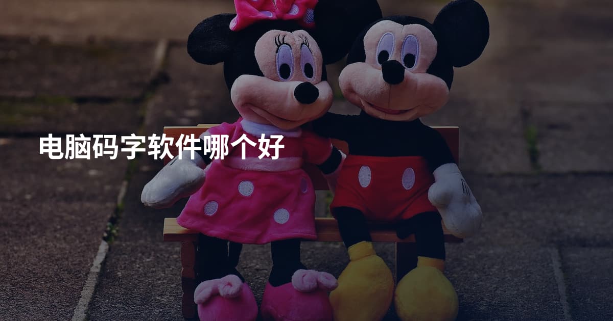 电脑码字软件哪个好