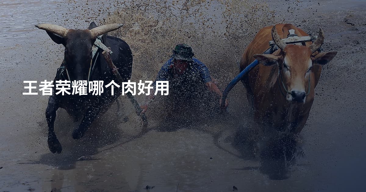 王者荣耀哪个肉好用