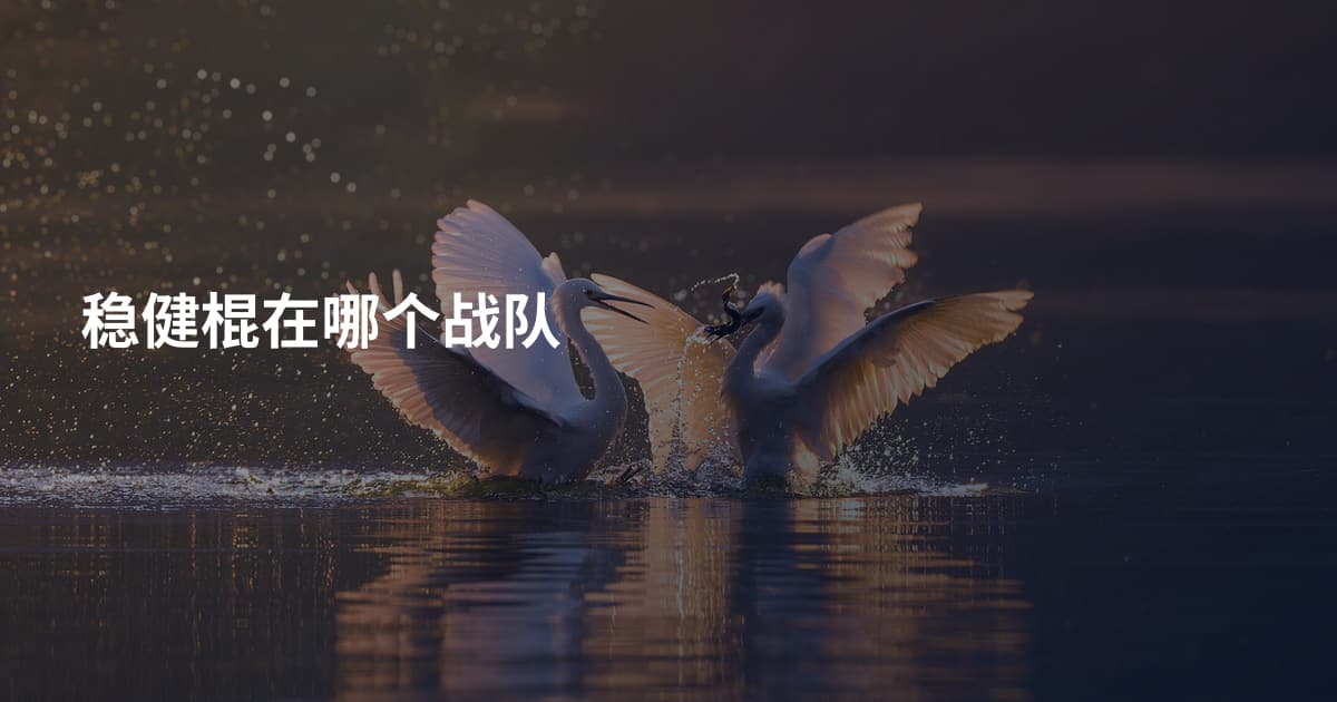 稳健棍在哪个战队