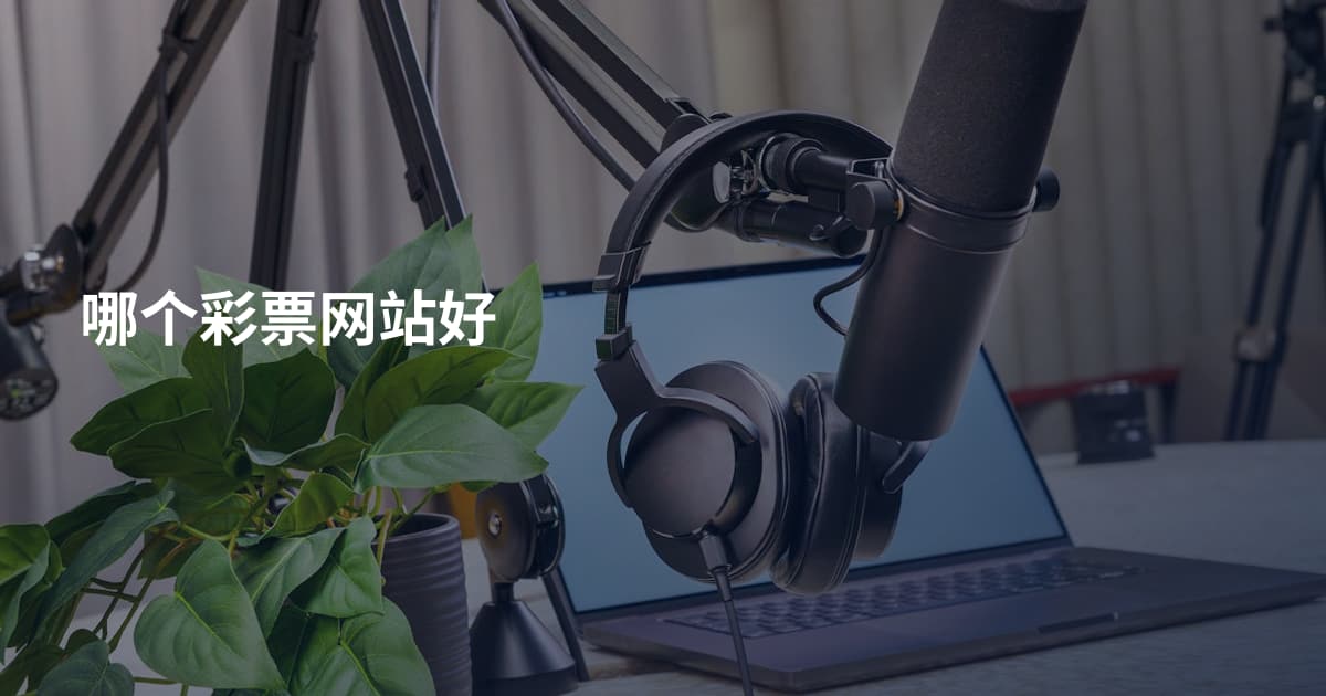 哪个彩票网站好