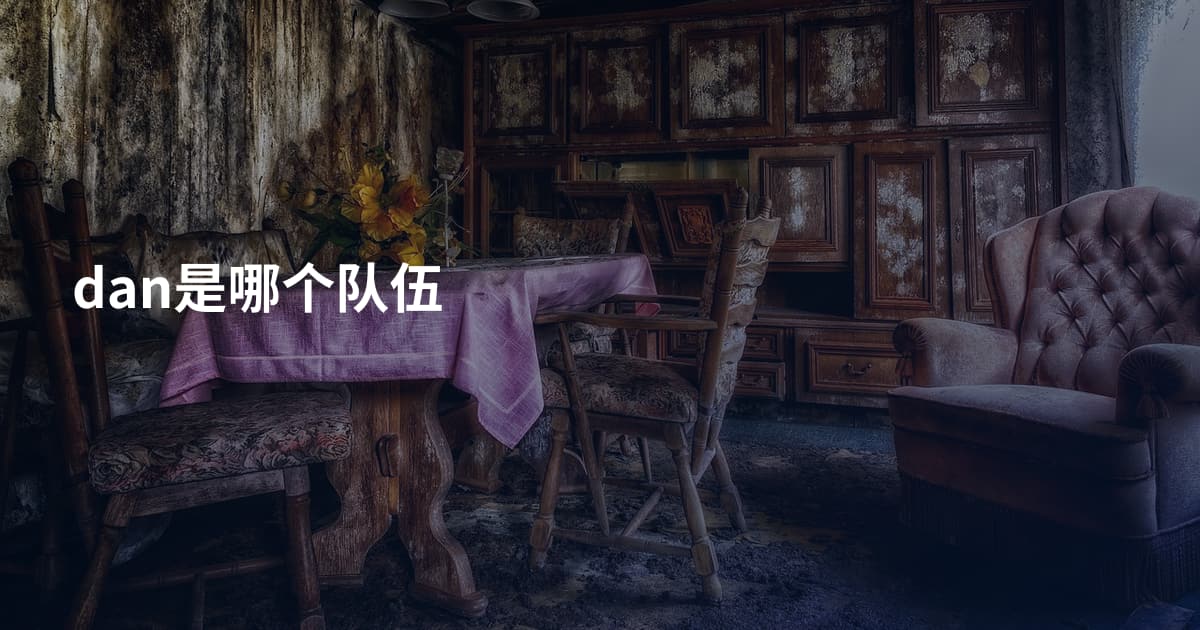 dan是哪个队伍