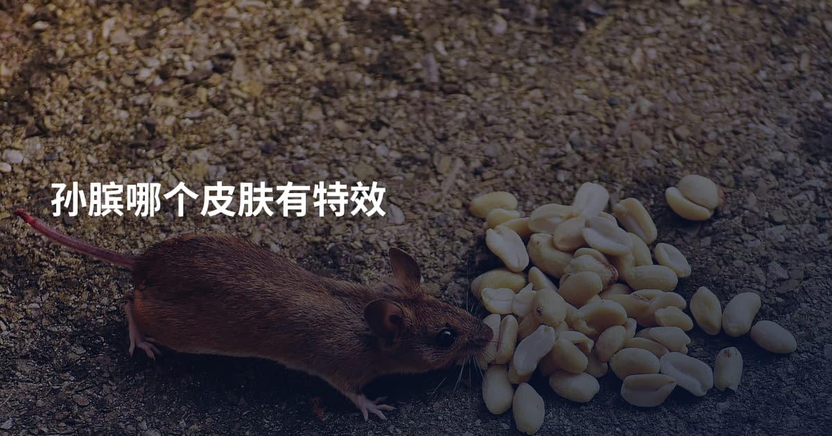 孙膑哪个皮肤有特效