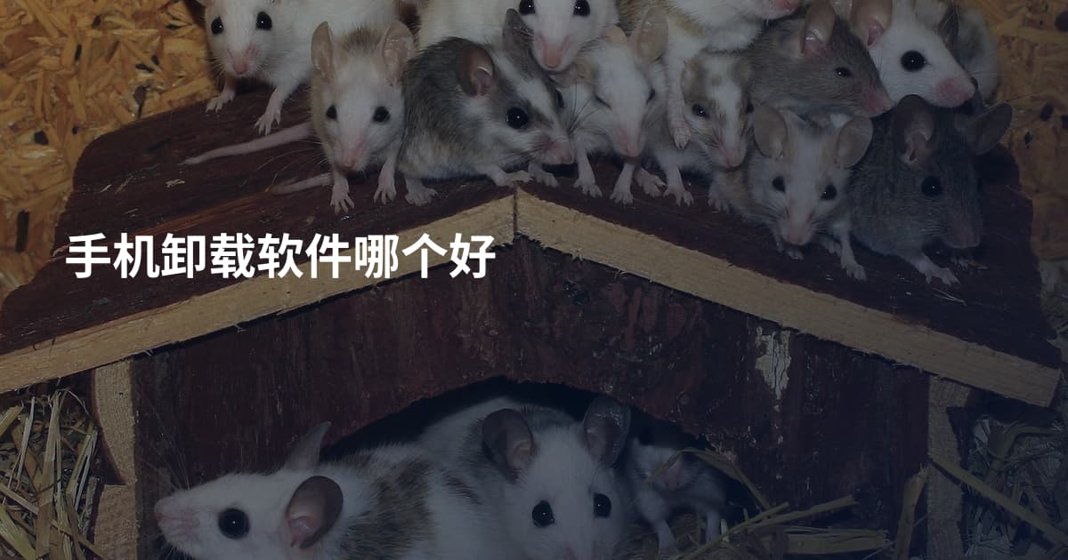 手机卸载软件哪个好