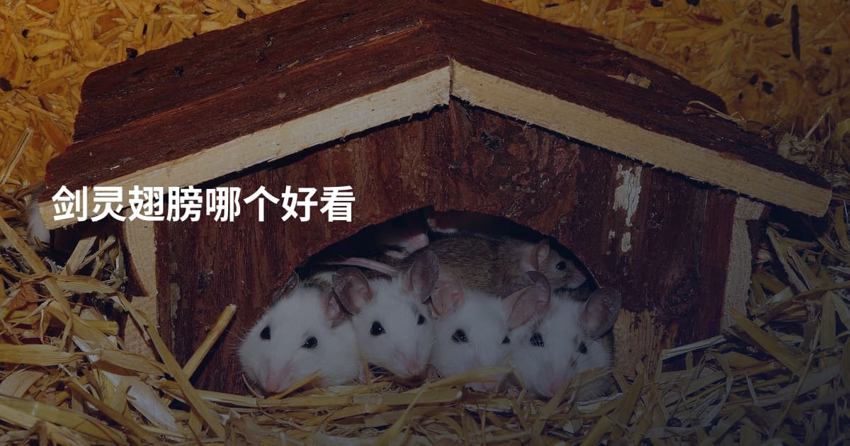 剑灵翅膀哪个好看