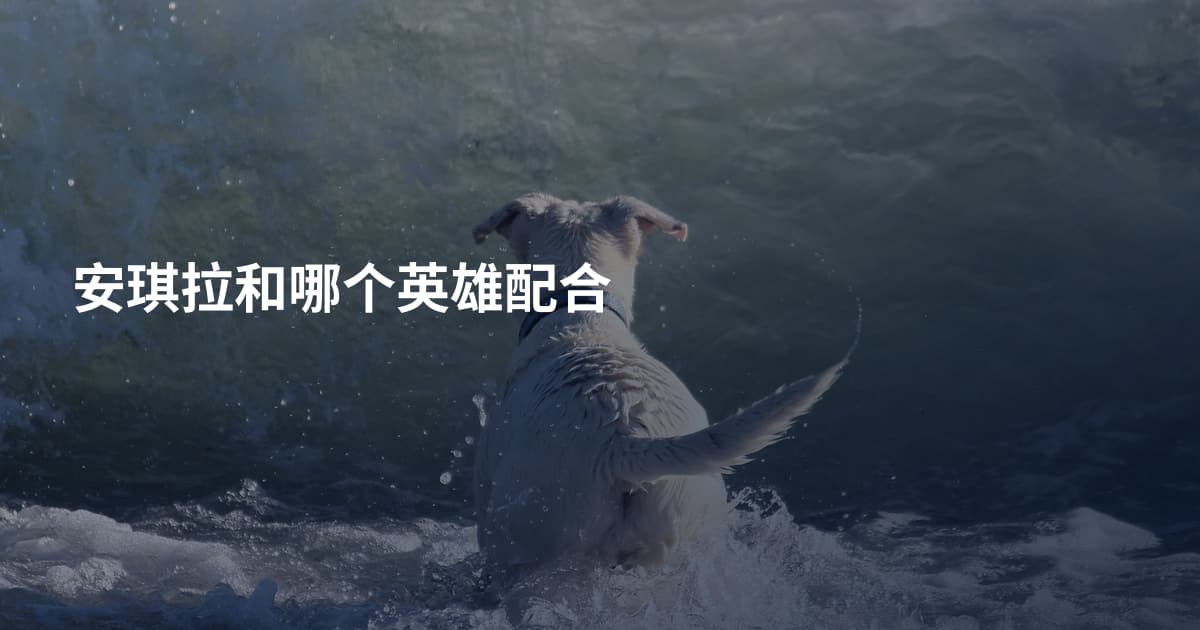 安琪拉和哪个英雄配合