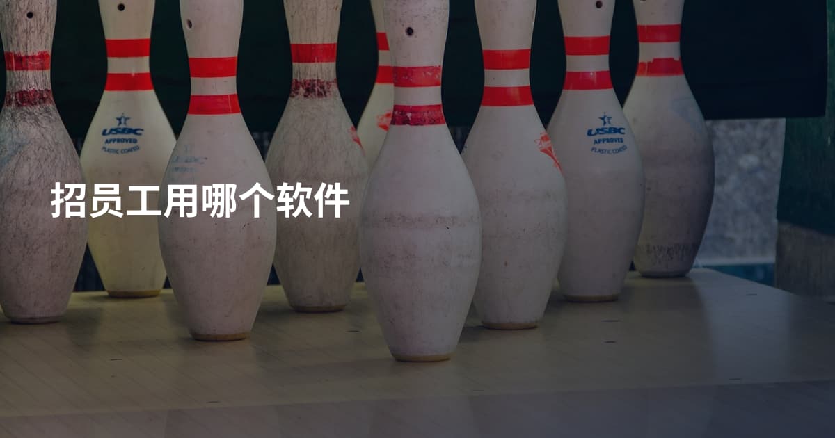 招员工用哪个软件
