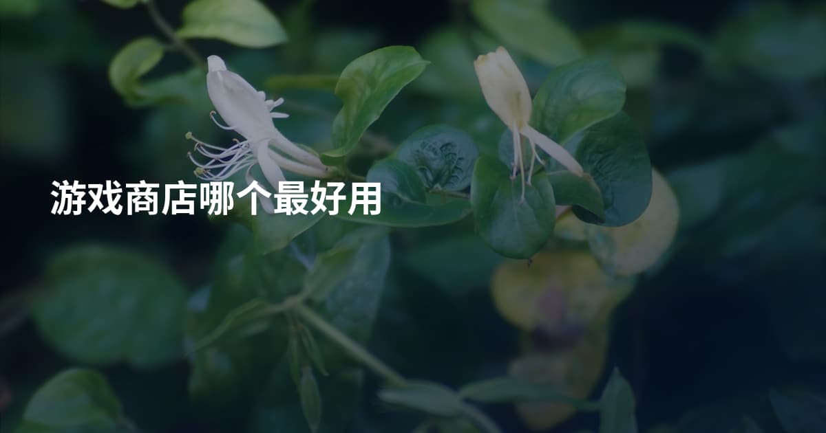 游戏商店哪个最好用