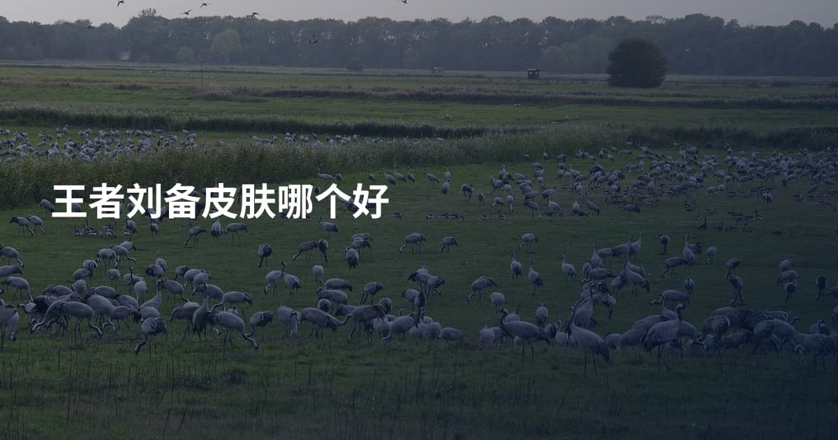 王者刘备皮肤哪个好