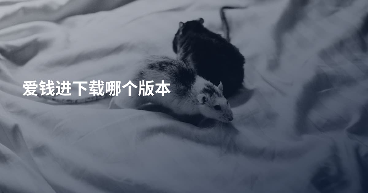 爱钱进下载哪个版本