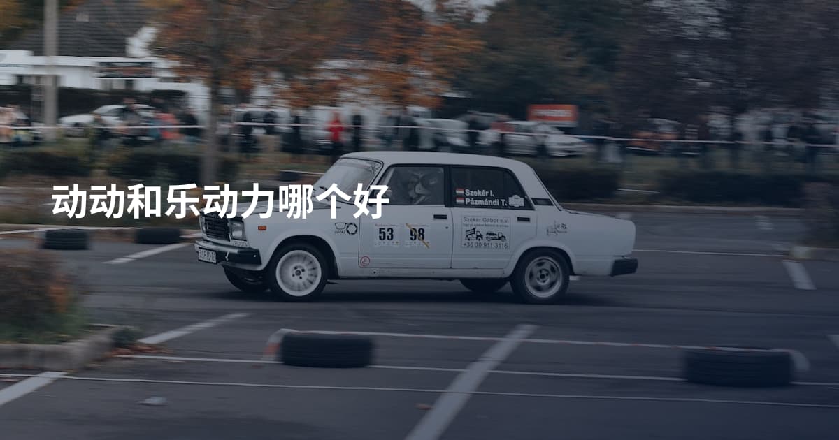动动和乐动力哪个好