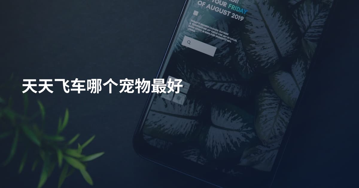 天天飞车哪个宠物最好