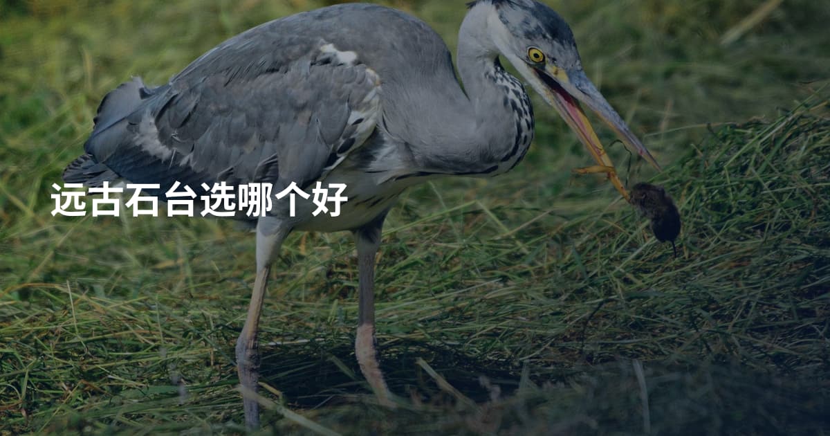 远古石台选哪个好