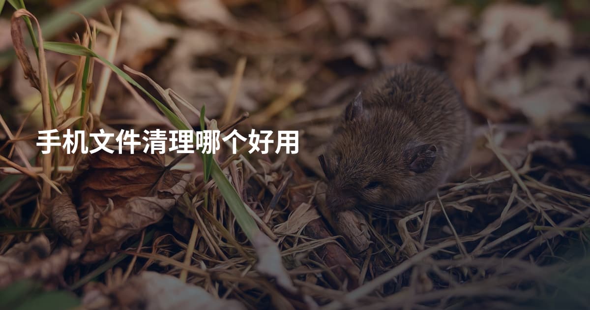 手机文件清理哪个好用