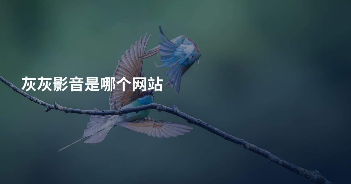 灰灰影音是哪个网站