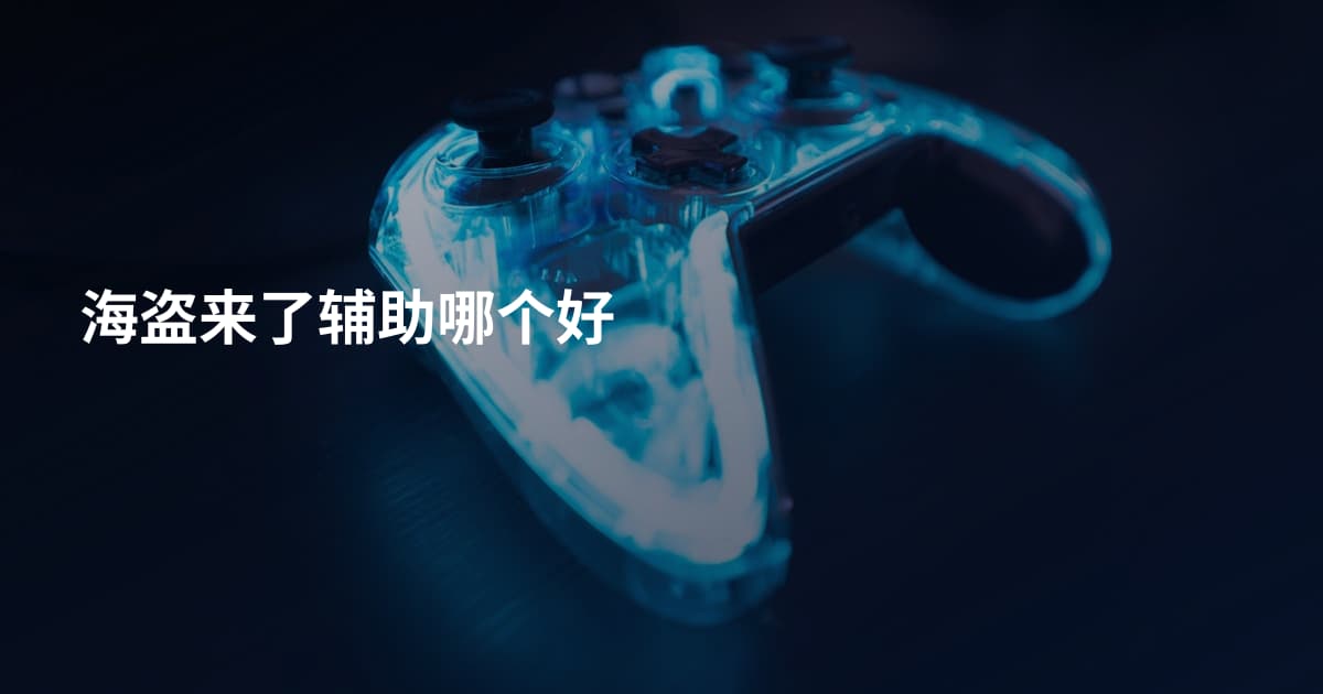 海盗来了辅助哪个好