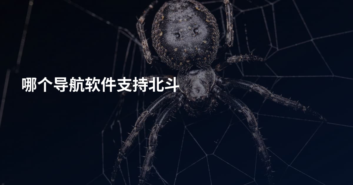 哪个导航软件支持北斗