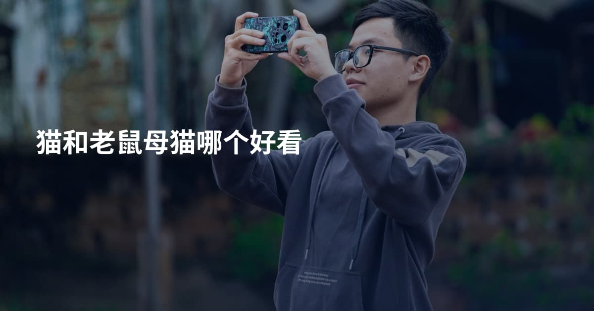 猫和老鼠母猫哪个好看
