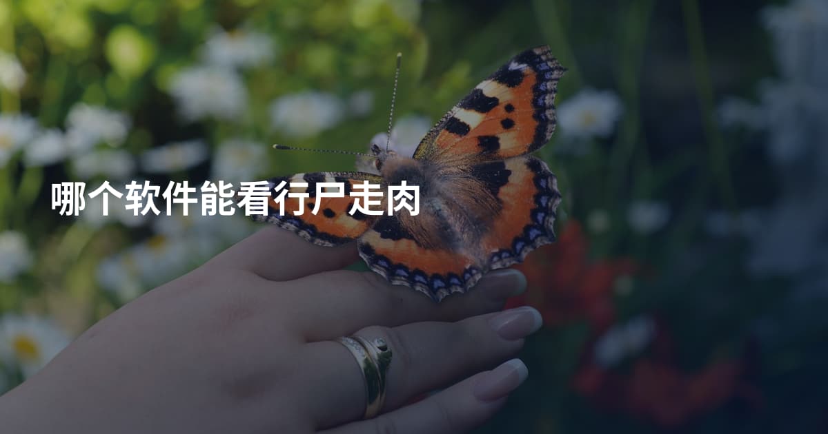 哪个软件能看行尸走肉