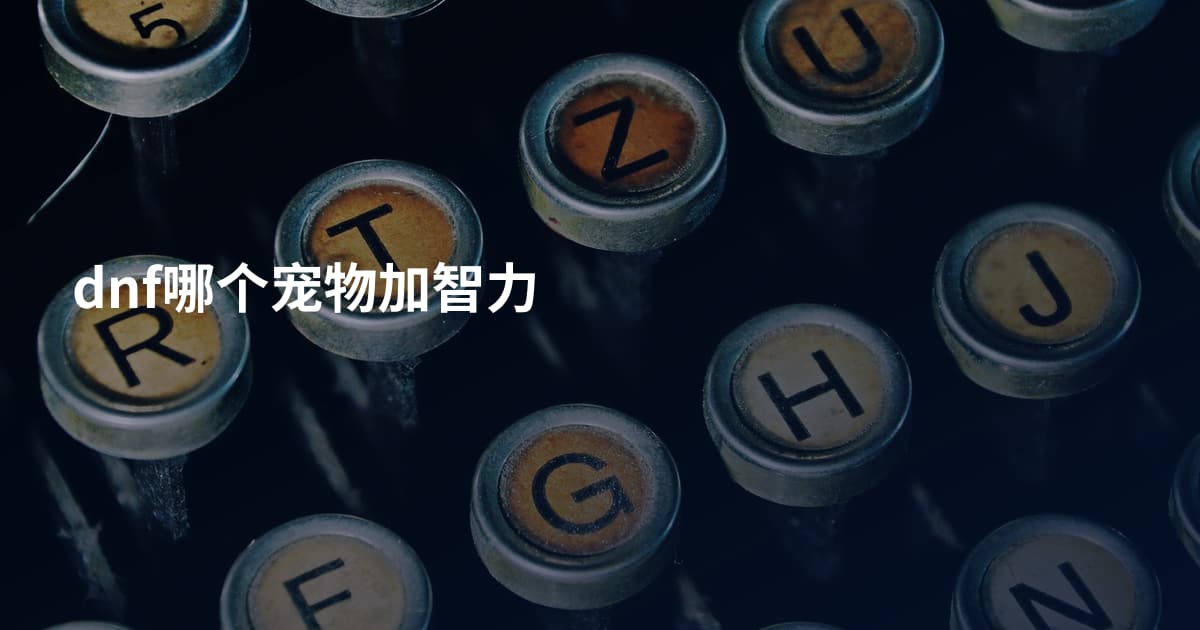 dnf哪个宠物加智力