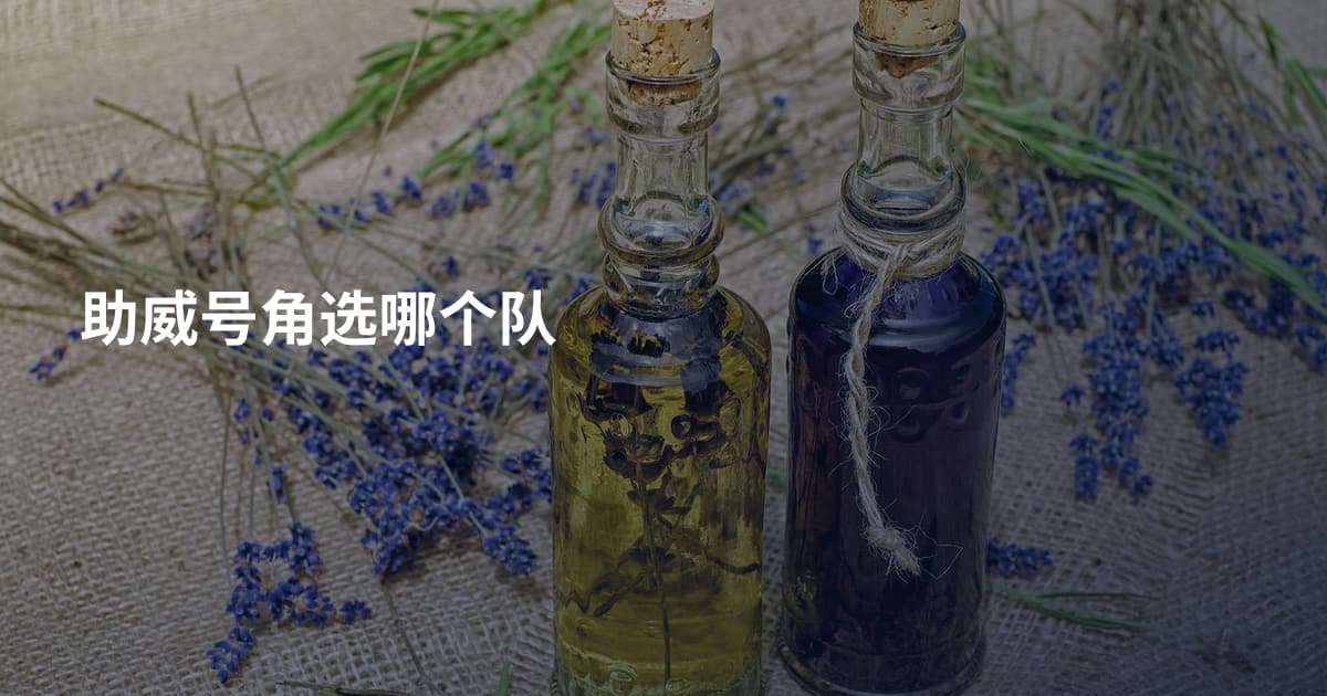 助威号角选哪个队
