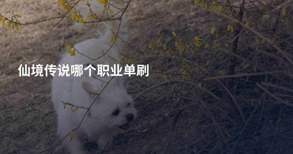 仙境传说哪个职业单刷