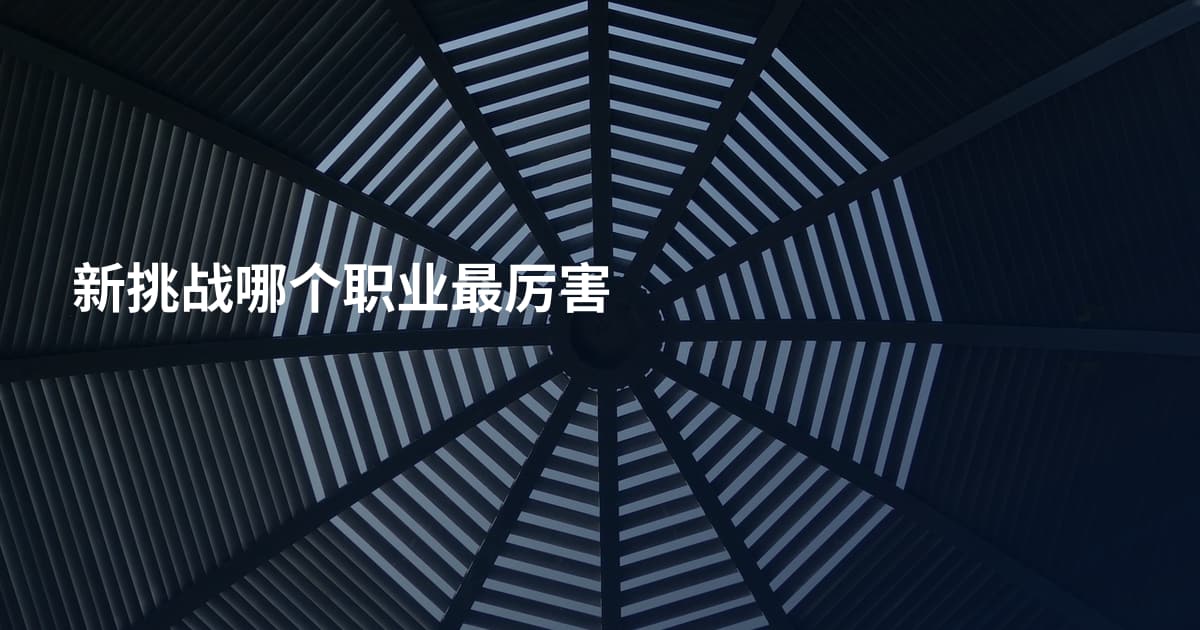 新挑战哪个职业最厉害