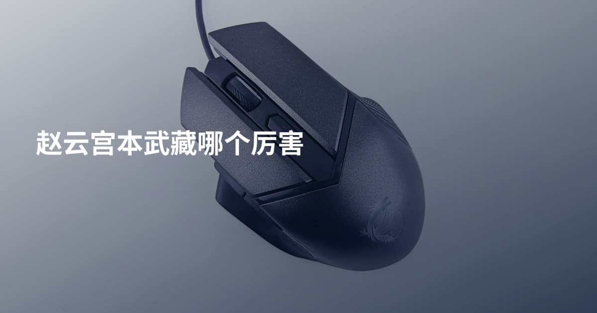 赵云宫本武藏哪个厉害