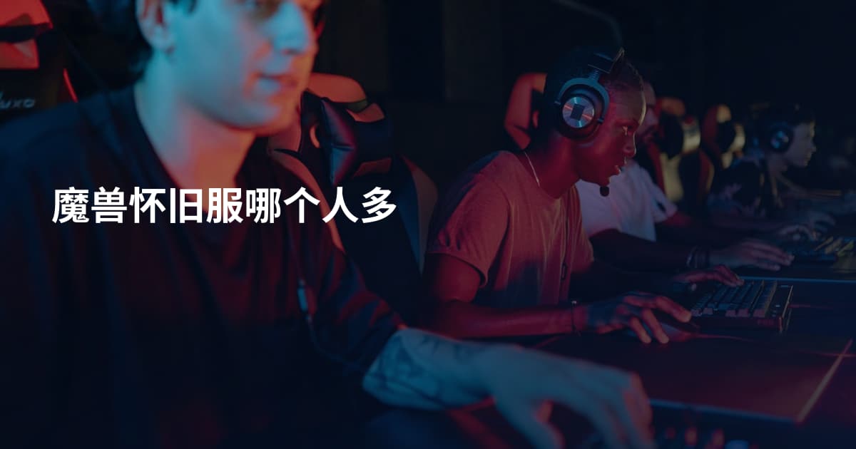魔兽怀旧服哪个人多