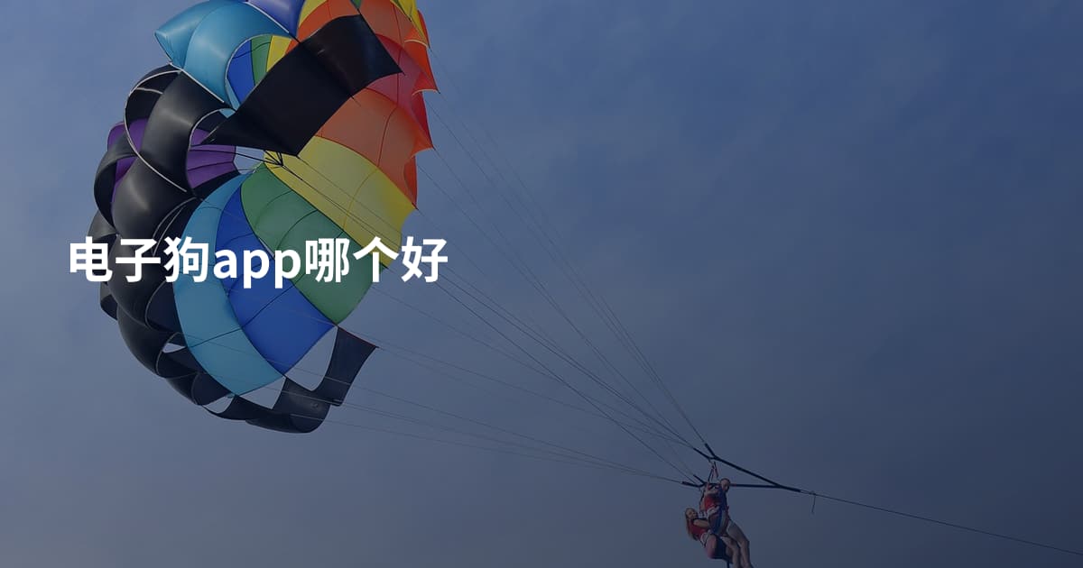 电子狗app哪个好