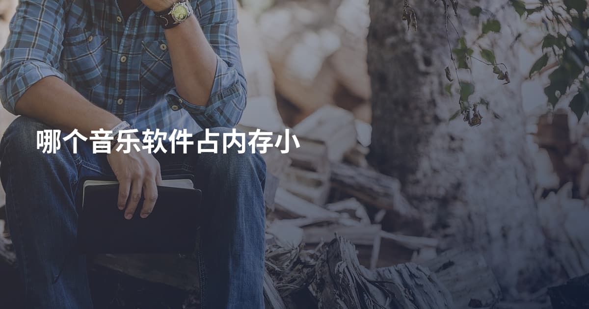 哪个音乐软件占内存小