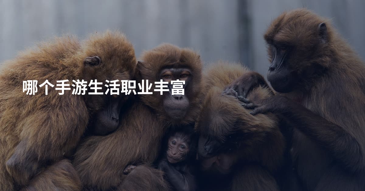 哪个手游生活职业丰富