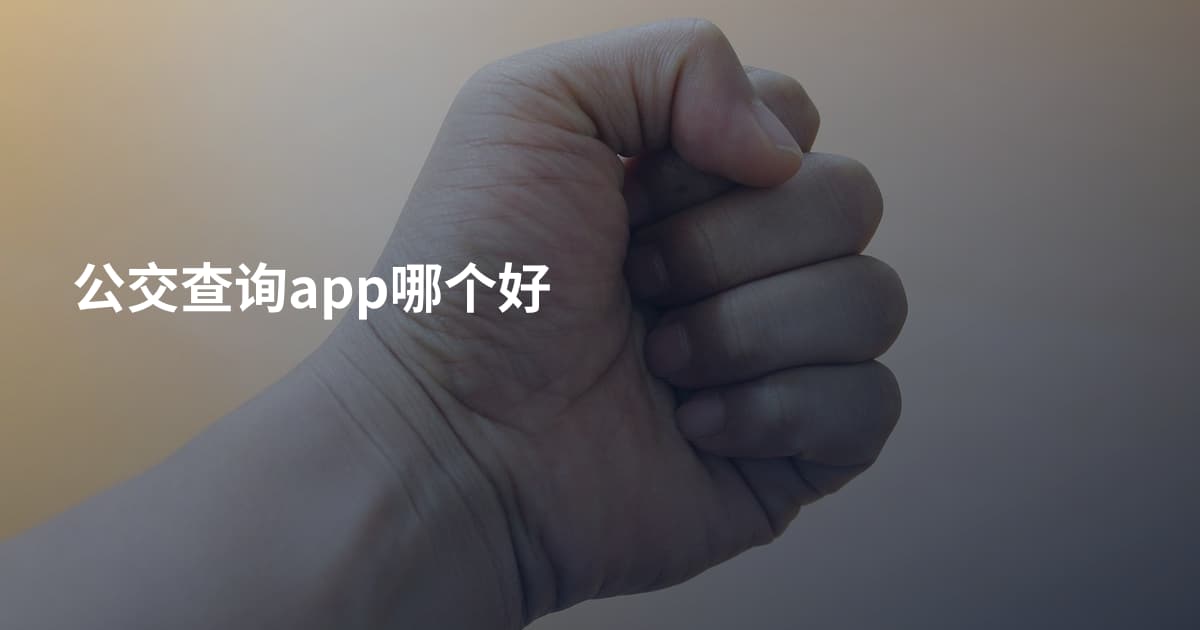 公交查询app哪个好