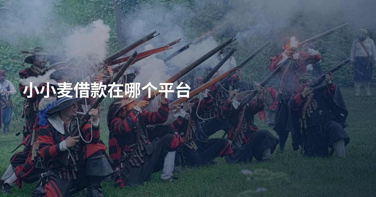 小小麦借款在哪个平台